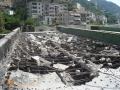 cartiera 010