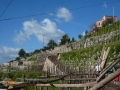 MURI (2)