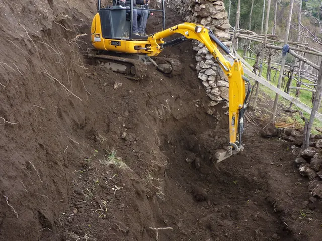 JCB 8020 excavator