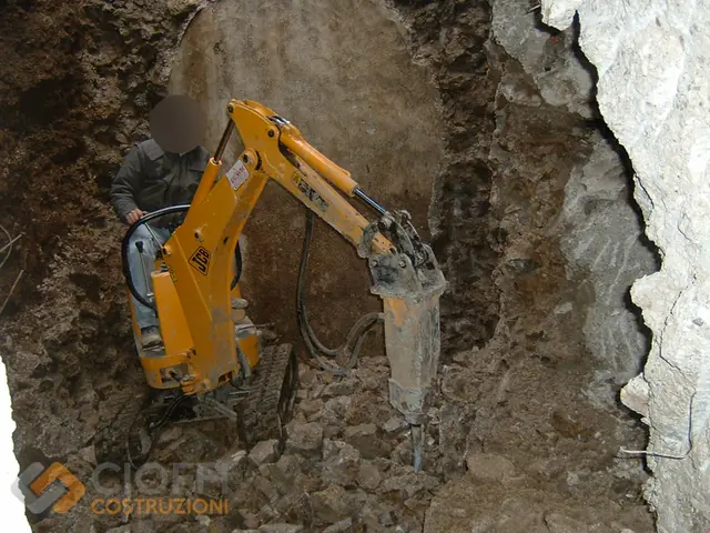 JCB Micro excavator
